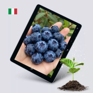 Percorsi di Elettro-Nutrizione Vol. 2: Mirtilli e i piccoli frutti rossi - italiano